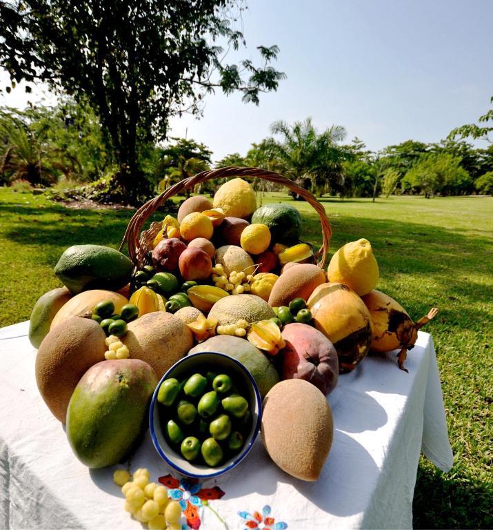 Hacienda San Francisco Tzacalha Hotel Dzidzantun Ngoại thất bức ảnh